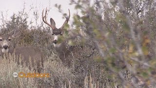 Utah Mentor Program Book Cliffs Deer Hunt [upl. by Raasch611]