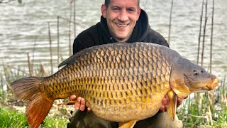 Coking Farm Oak Lake HUGE COMMON CARP CAUGHT [upl. by Adli]