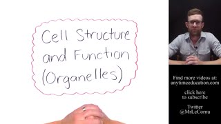 Cell Structure and Function  Organelles [upl. by Nwahsav]