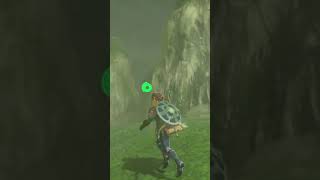 Korok Seed 24 Kakariko Village  Zelda Breath of the Wild 100 Walkthrough shorts botw [upl. by Odnalo]