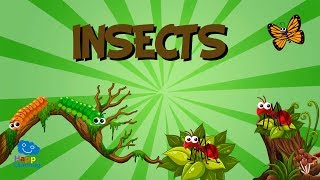 Insects  Educational Videos for Kids [upl. by Hendrik885]