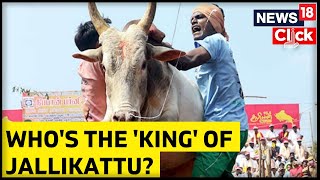 Why Pulikulam Breeds Are Referred King Of Jallikattu Heres What So Unique About Them [upl. by Hartzell]