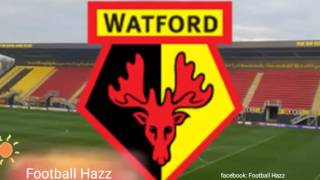 Watford FC Anthem [upl. by Assilla]