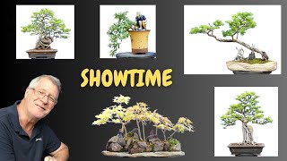 Elevate Your Bonsai Game Showtime Preparation [upl. by Ranjiv]