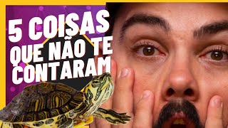 5 coisas sobre TIGRE DÁGUA que você precisa saber antes de ter um Biólogo Tai [upl. by Ordnasela]