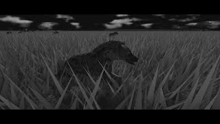 The Night Ticklers The Story of Usiki Tekenya Trailer for upcoming Wild Savannah Hyena Documentary [upl. by Reteid]