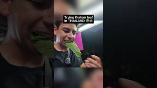 I Tried KRATOM Leaf in Thailand 🍃🇹🇭 [upl. by Anileba656]