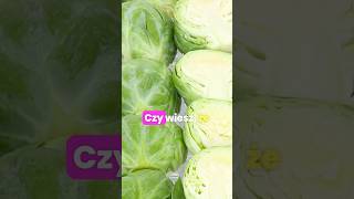 Czy wiesz że brukselka   vegetable warzywo [upl. by Schuyler]