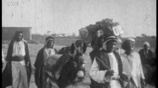 Footage of camels in the Gerald Lankester Harding home movies [upl. by Ymerej]