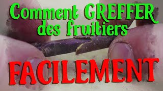 Le greffage de Fruitiers le plus simple du monde et en 5 minutes [upl. by Richter548]