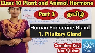 Pituitary Gland Class 10 Science Unit 16 Plant and Animal Hormone [upl. by Jelsma]