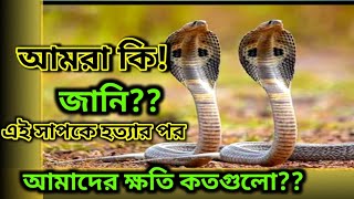 দারাশ সাপ বাঁচান ফসল বাঁচান ।।darash shape idure ইদুর [upl. by Linneman]