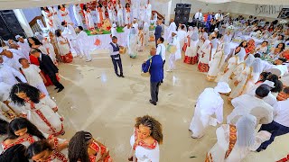 Hot Guayla  Mulgheta Efrem  Winta and Kebret  Eritrean Wedding  Columbus Ohio  2024 [upl. by Sungam947]