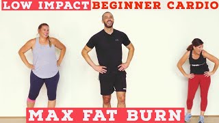 Fat burning Beginner LOW IMPACT home cardio workout  all standing [upl. by Htebirol]