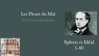 Les Fleurs du mal lecture audio de Spleen et Ideal [upl. by Morehouse]