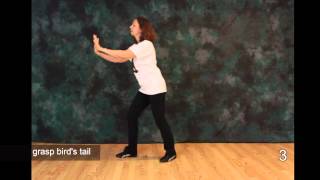 Tai Chi  The First Moves 1 2 3  Free Tai Chi Online Lessons [upl. by Jerrold]