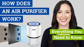 How Does an Air Purifier Work Do Air Cleaners Really Work to Remove Dust Mold and Allergens [upl. by Dnaltroc]