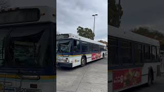 Op Waved Santa Cruz Metro 1998 New Flyer D40LF 9820 on Route 2 at Capitola Mall [upl. by Odnomra929]