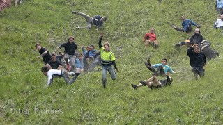 Thrills and spills during Cheese Rolling contest 2024 in the UK [upl. by Miltie]