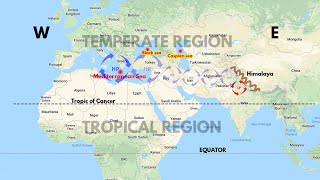 Western Disturbance  Effects amp Benefits for India  Climatology Geography UPSC CDS NDA SSC CGL [upl. by Bibbye]