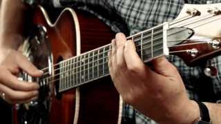 Beard Odyssey A Resonator Guitar  Fingerstyle Blues  Played by Andreas Schulz [upl. by Ahsiner]