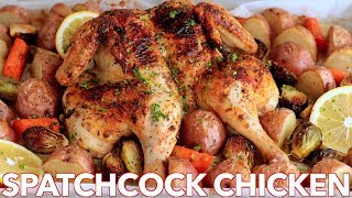 Roasted Spatchcock CHICKEN Recipe  ONE PAN Chicken Dinner [upl. by Phedra]