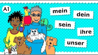 🐶 Deutsch A1 🐰 Possessivpronomen 🐦 mein  dein  sein  ihr  unser  euer etc Thema Haustiere 🐢 [upl. by Leopold383]