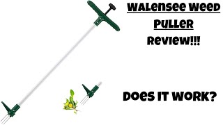 Walensee Weed Puller review [upl. by Kimmel]