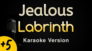 Jealous  Labrinth Karaoke Songs With Lyrics  Higher Key [upl. by Bolten561]