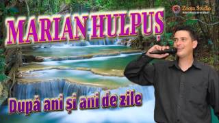 MARIAN HULPUS  DUPA ANI SI ANI DE ZILE [upl. by Diannne852]