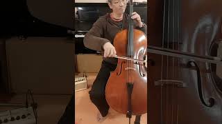 Vibrato practice on cello T100 [upl. by Aneala]