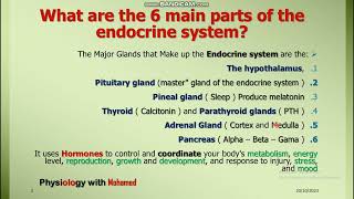 Endocrine System Physiology [upl. by Phaih747]