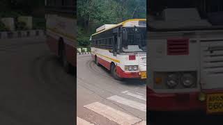 Walking the Sacred Alipiri Mettu Street to Tirupati Balaji  60Second Journey [upl. by Ttoile684]