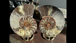 Amonita Madagascar Fosil Ammonite 2 Piezas Premium [upl. by Aelber280]