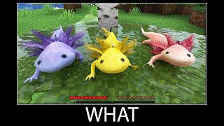 Minecraft wait what meme part 100 realistic minecraft axolotl [upl. by Korb]