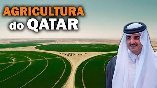 INCRÍVEL AGRICULTURA NO DESERTO DO QATAR [upl. by Drape]