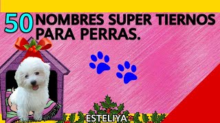 NOMBRES SUPER TIERNOS PARA PERRAS [upl. by Argela]