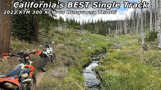 2022 Ktm 300 XCW Vs 2022 Husqvarna TE300i  Single Track Ride And Review  Kennedy Meadows [upl. by Yaluz]