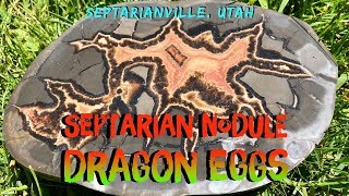 Septarian Nodule Rockhounding Utah [upl. by Annahsal816]