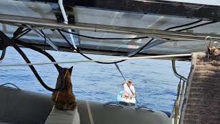 KAYAKING THE INDIAN OCEAN LIVE day 12 [upl. by Gerladina478]