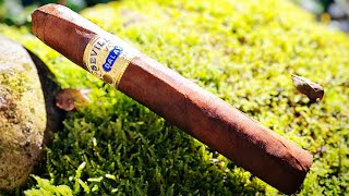 Dalay Sevilla Robusto Especial Limitada  Zigarren Review [upl. by Repooc]