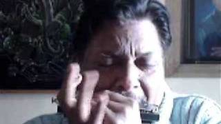 Aaja Re Pardesi Harmonica Mouth Organ Ashok Bhandari [upl. by Silbahc277]