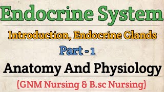 Endocrine System Anatomy and Physiology  Anatomy and Physiology For Nursing Student [upl. by Bazil]