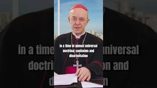 Athanasius Schneider Versus Pope Francis [upl. by Mercorr]