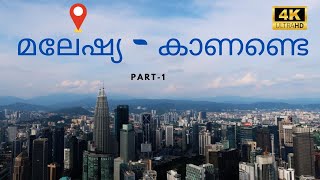 മലേഷ്യ  കാണണ്ടെ  Malaysia Malayalam travel vlogs Part 1  ട്രിപ്സ് ബൈ റിയാസ് രാജ [upl. by Joachim958]