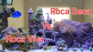 Roca Viva vs Roca Seca Para Mi Acuario Marino [upl. by Lemaceon]