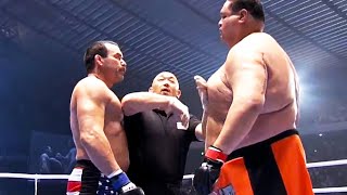 Don Frye USA vs Taro Akebono USA  MMA fight HD [upl. by Asirrak]