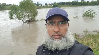 Hochwasser  Donauinsel  Floridsdorfer Brücke  Wien Österreich [upl. by Antonella]