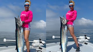 60 LB BAYBOAT WAHOO CatchClean With Jacki Shea [upl. by Aicak]