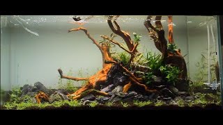 AQUASCAPE TUTORIAL STEP BY STEP ADA 90P  quotdream come truequot  Nature Aquarium [upl. by Greenleaf675]